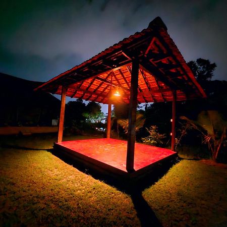 アーラップーザ県 Gypsea Marari Bed & Breakfast エクステリア 写真