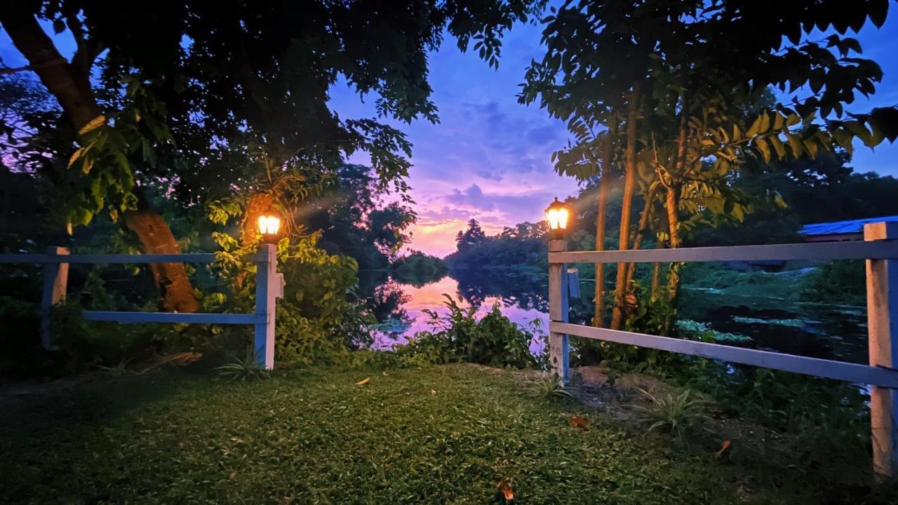 アーラップーザ県 Gypsea Marari Bed & Breakfast エクステリア 写真